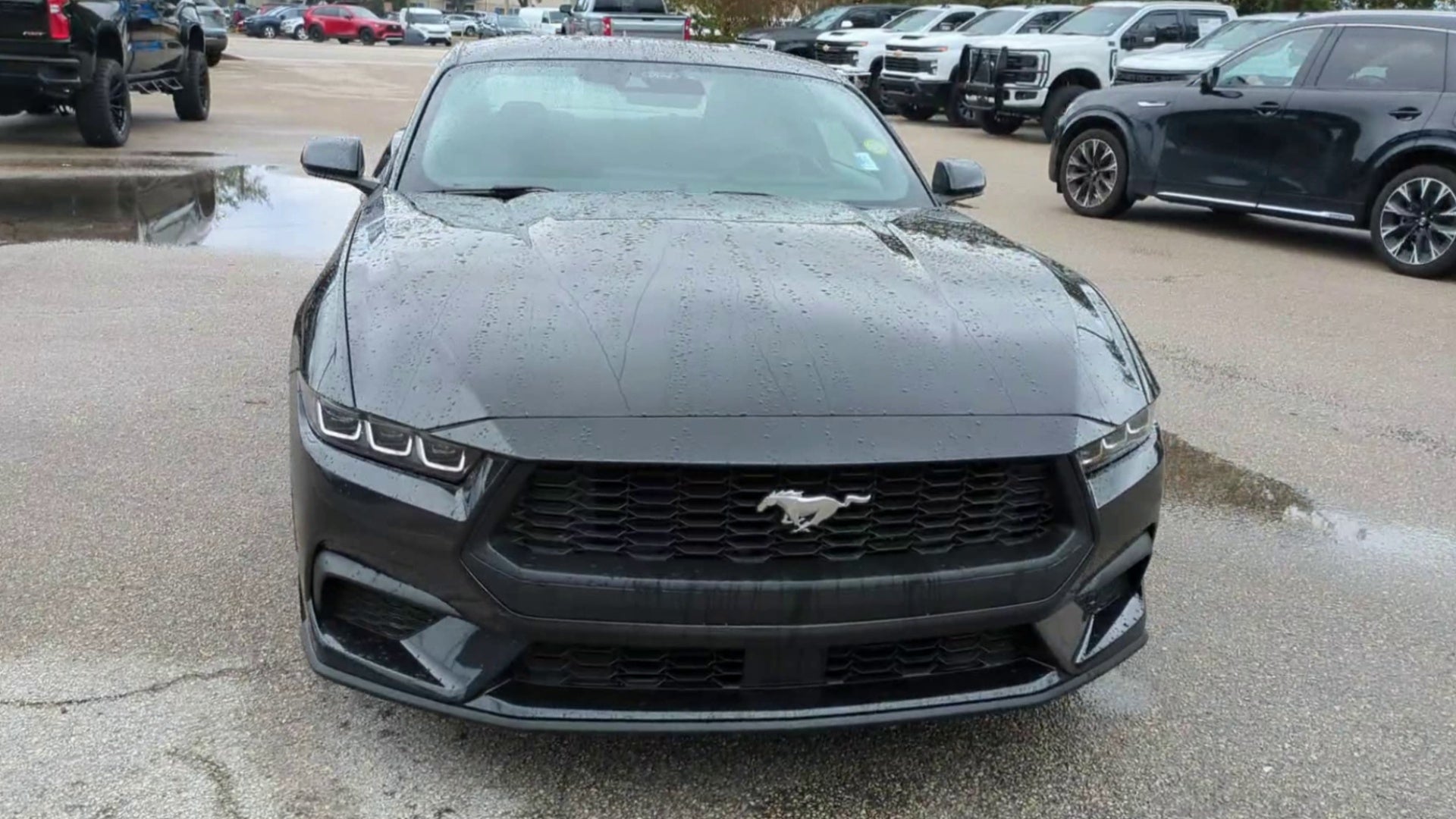 2024 Ford Mustang EcoBoost Fastback