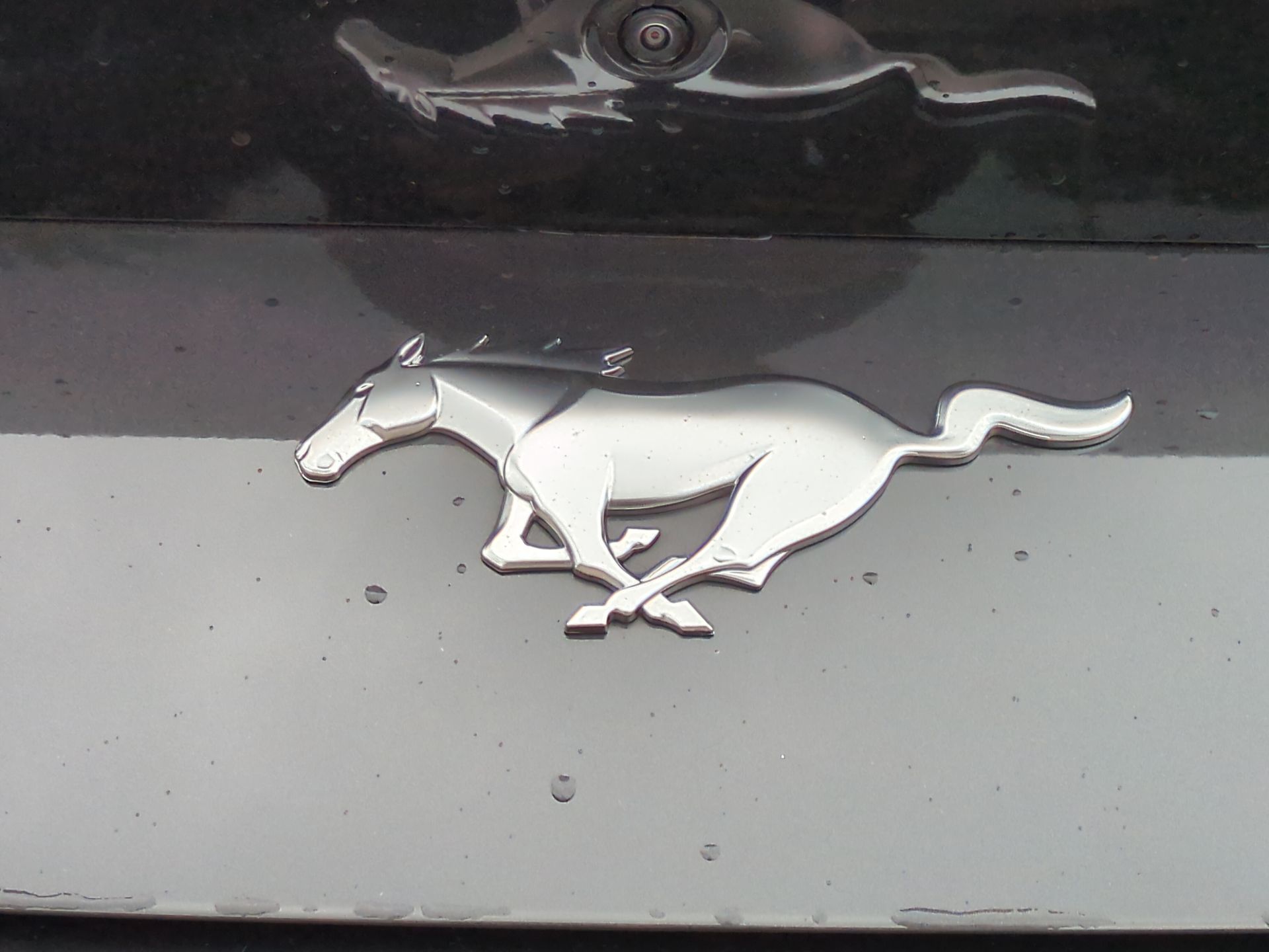 2024 Ford Mustang EcoBoost Fastback