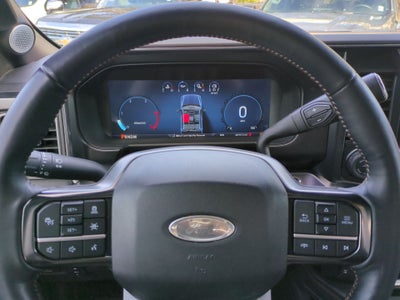 2024 Ford F-250 Platinum