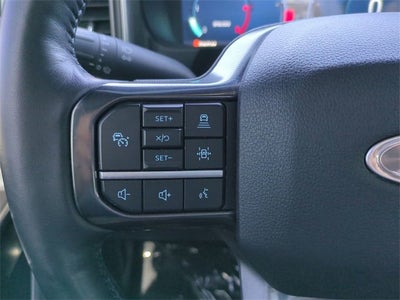 2025 Ford Super Duty F-350 SRW Platinum