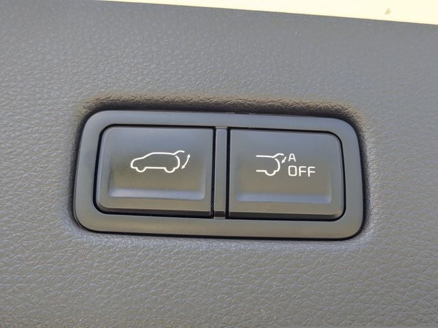 2023 Kia Carnival SX